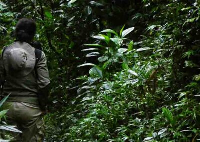 chameleon tour at ranomafana park