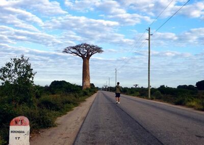 Baobab Morondava