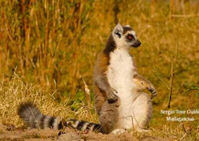 best time to visit madagascar