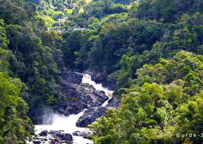 rainforest to baobab avenue