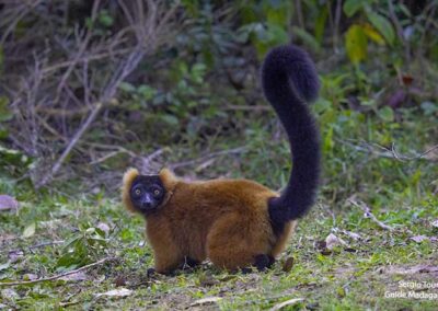 best park to visit in madagascar