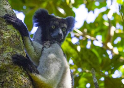 best park to visit in madagascar