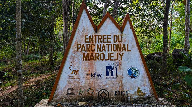 madagascar herping expedition